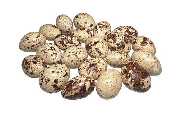 Դրաժե շոկոլադապատ, նուշով (շագանակագույն) /կգ